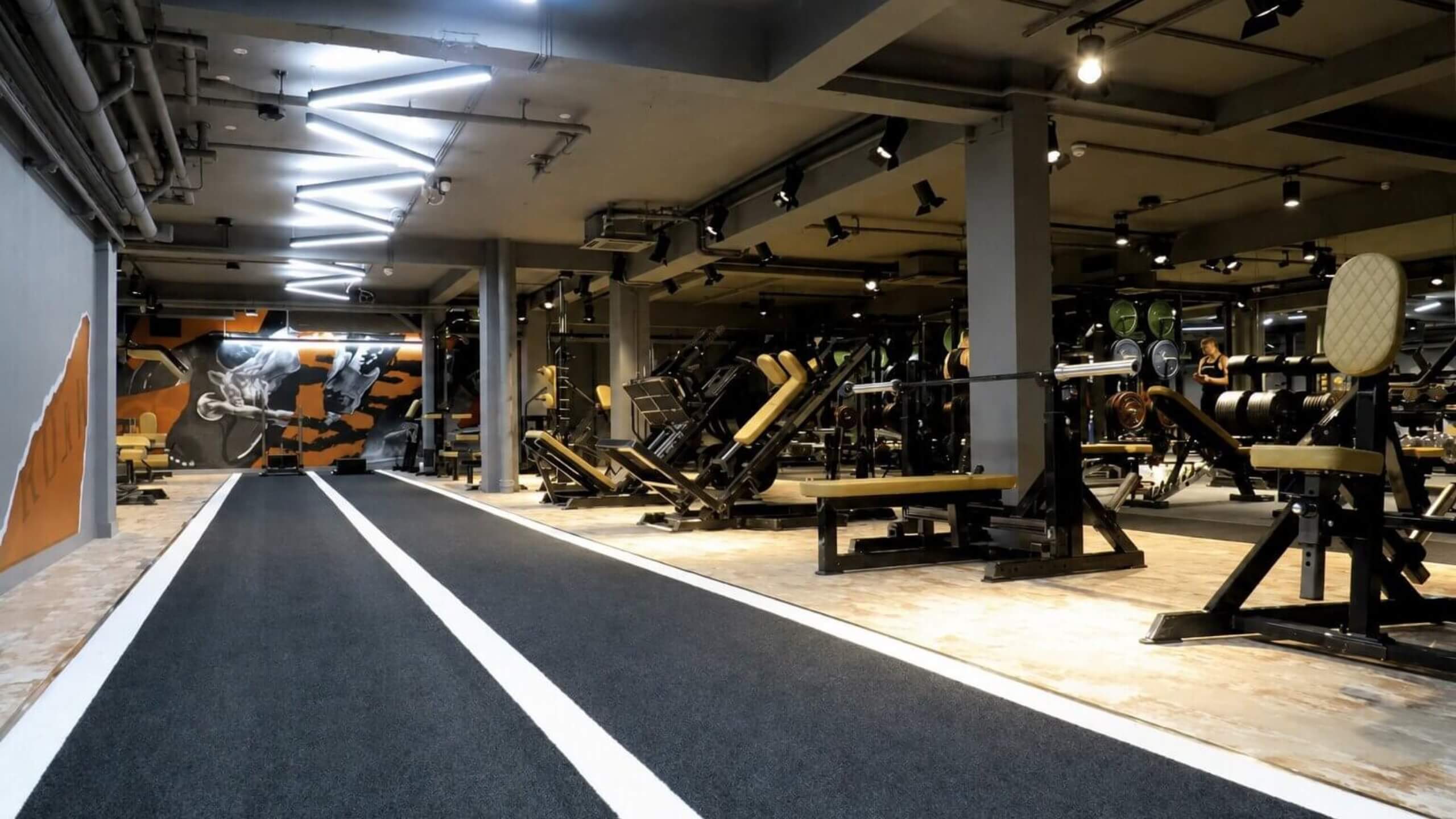 Personal Training in Kensington at Roar Fitness
